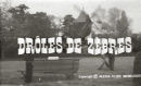 Droles De Zebres