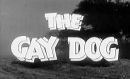 The Gay Dog